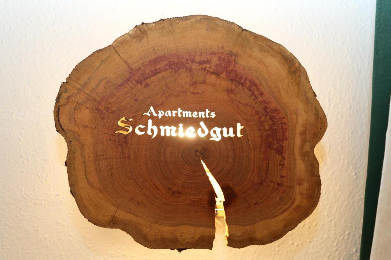 Apartments Schmiedgut Haus im Ennstal Dış mekan fotoğraf
